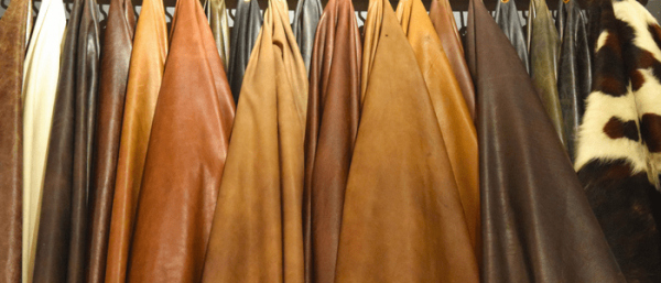 image-for-cover-of-blog